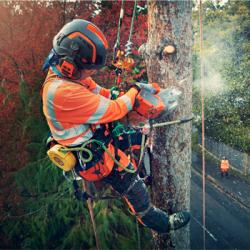 New Husqvarna Battery Chainsaws